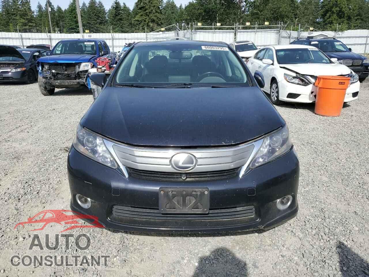 LEXUS HS 2010 - JTHBB1BA9A2013266