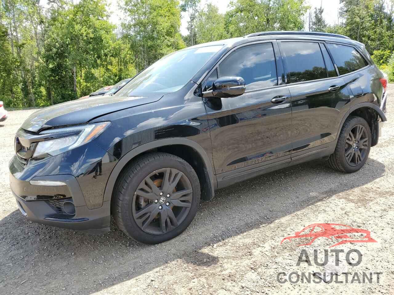 HONDA PILOT 2019 - 5FNYF6H02KB504854