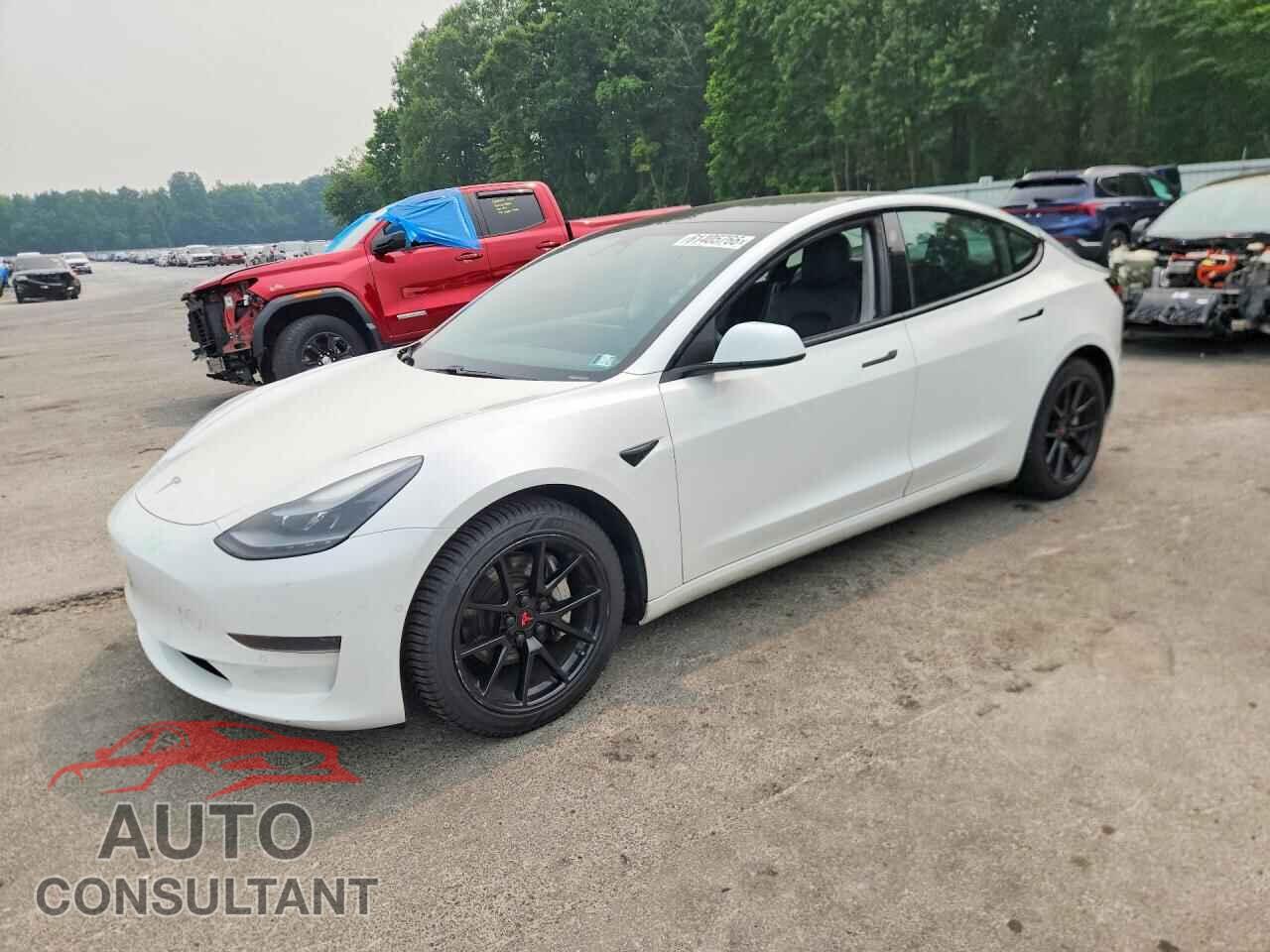TESLA MODEL 3 2021 - 5YJ3E1EA6MF030990