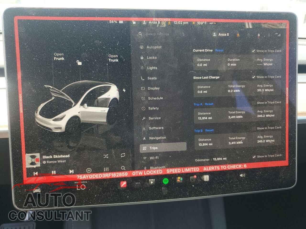 TESLA MODEL Y 2024 - 7SAYGDED3RF182859