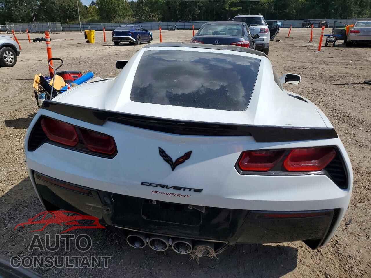 CHEVROLET CORVETTE 2019 - 1G1YB2D71K5106830