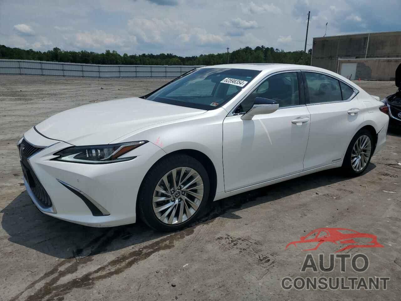 LEXUS ES300 2021 - 58AEA1C19MU011434