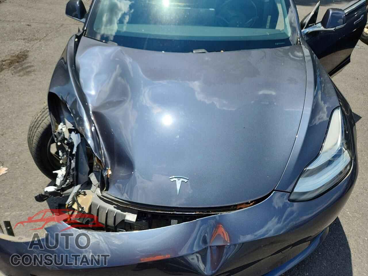 TESLA MODEL 3 2019 - 5YJ3E1EB0KF392898