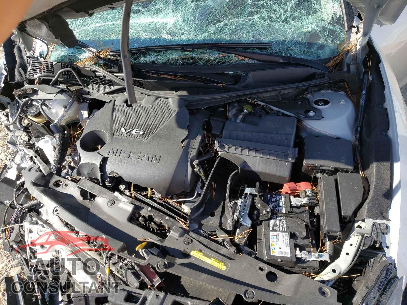 NISSAN MAXIMA 2021 - 1N4AA6FV1MC511010