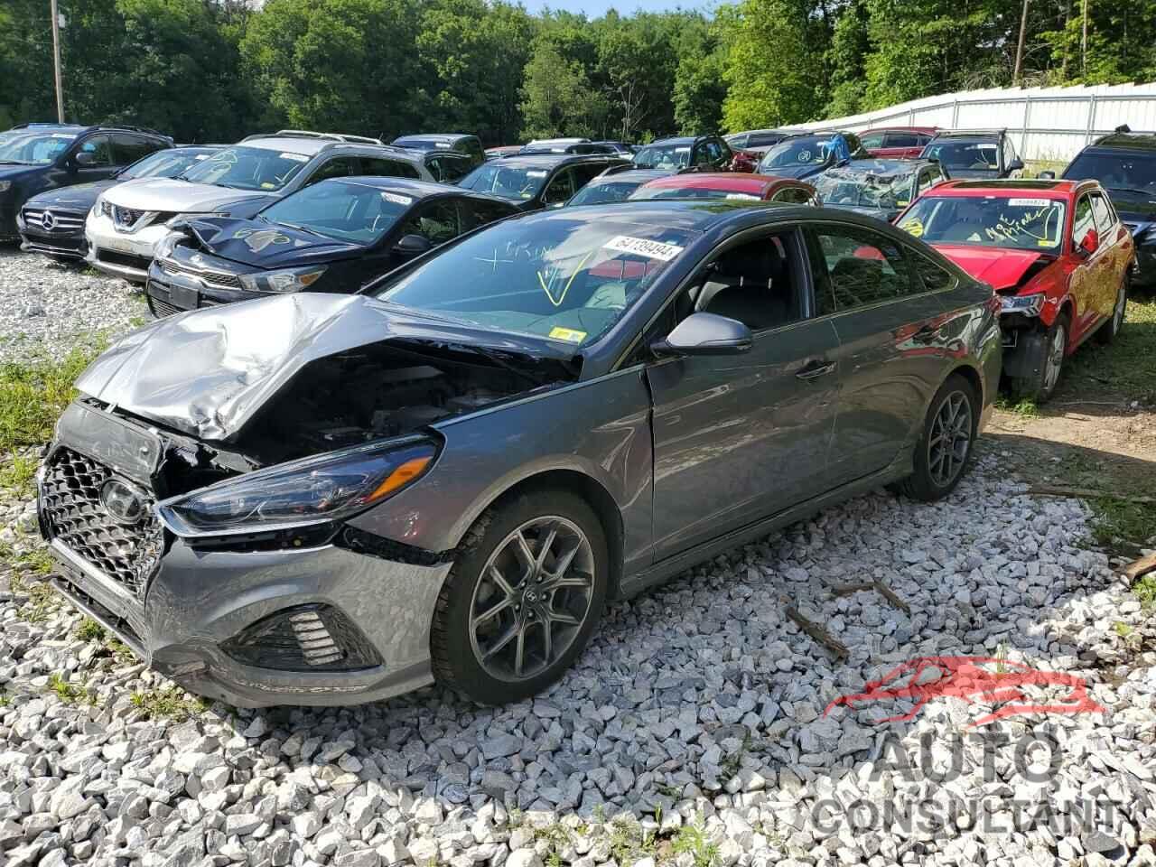 HYUNDAI SONATA 2019 - 5NPE34AB7KH742017