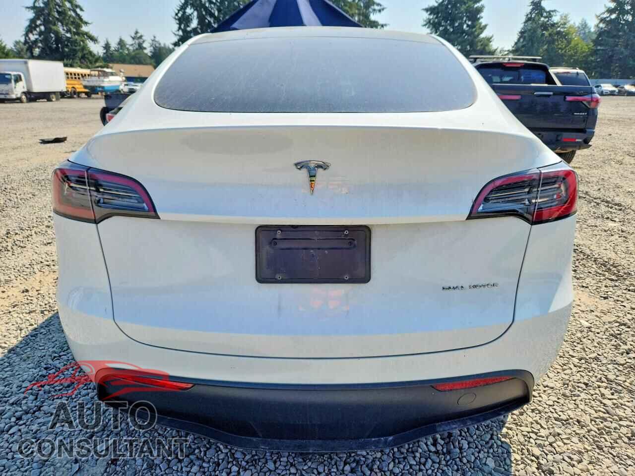 TESLA MODEL Y 2024 - 7SAYGDEE3RF075495