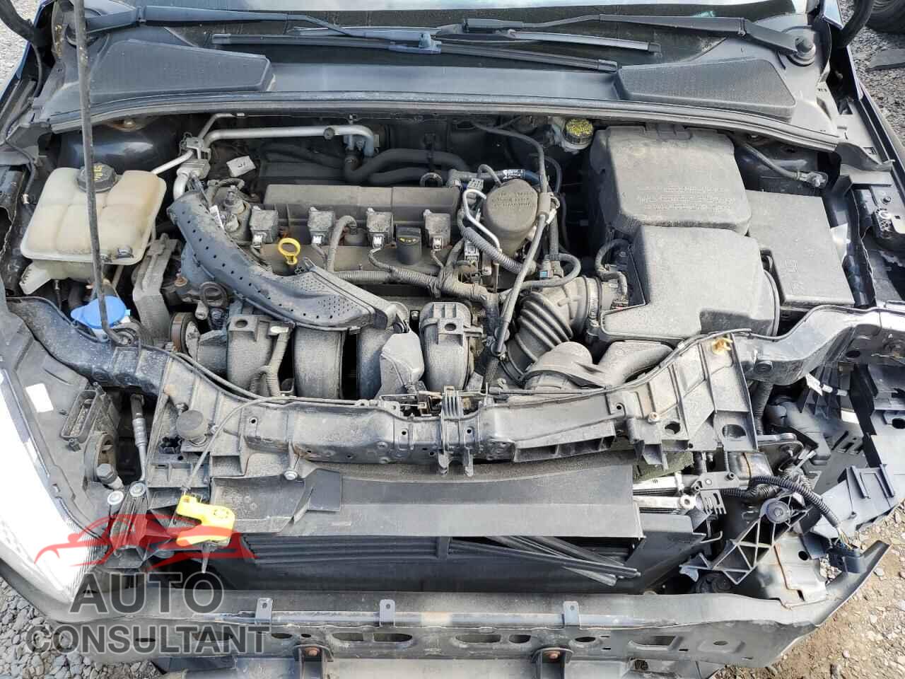 FORD FOCUS 2016 - 1FADP3F28GL218953