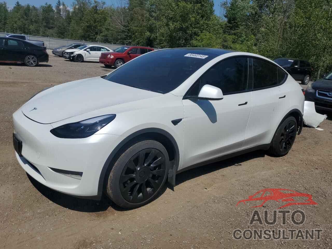 TESLA MODEL Y 2022 - 7SAYGDEE2NF564402