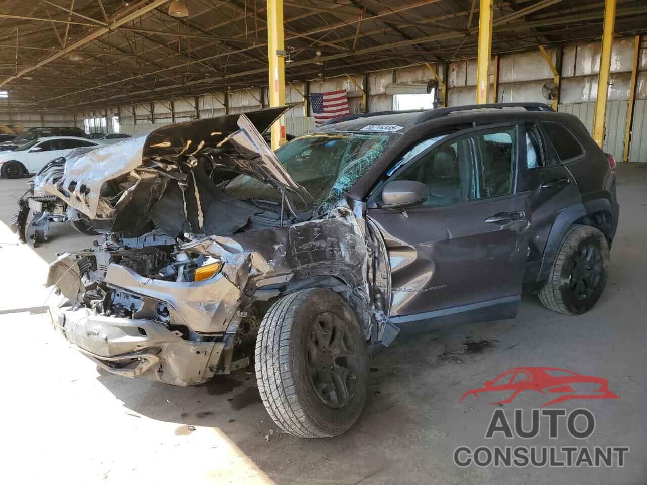 JEEP CHEROKEE 2019 - 1C4PJMBX8KD267475