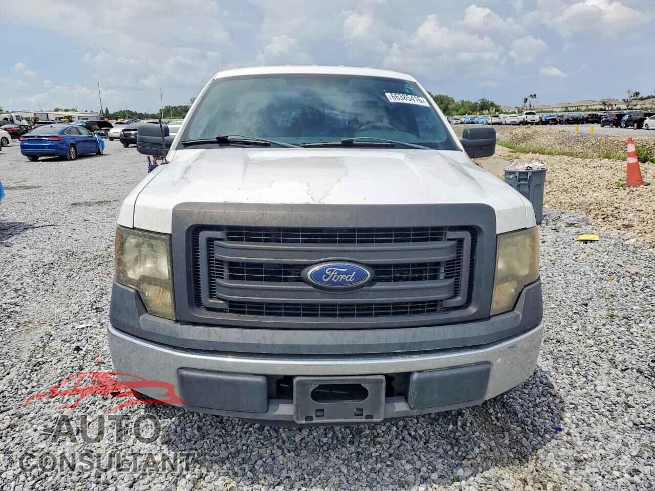 FORD F150 2013 - 1FTMF1CM8DFA99643