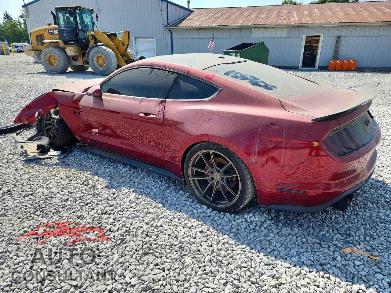 FORD MUSTANG 2019 - 1FA6P8CF1K5107400