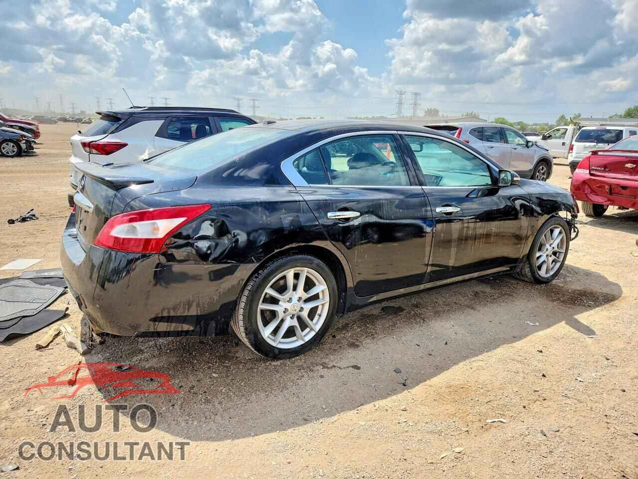 NISSAN MAXIMA 2011 - 1N4AA5AP1BC829970
