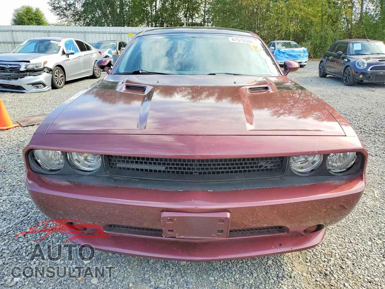 DODGE CHALLENGER 2014 - 2C3CDYBT2EH204510