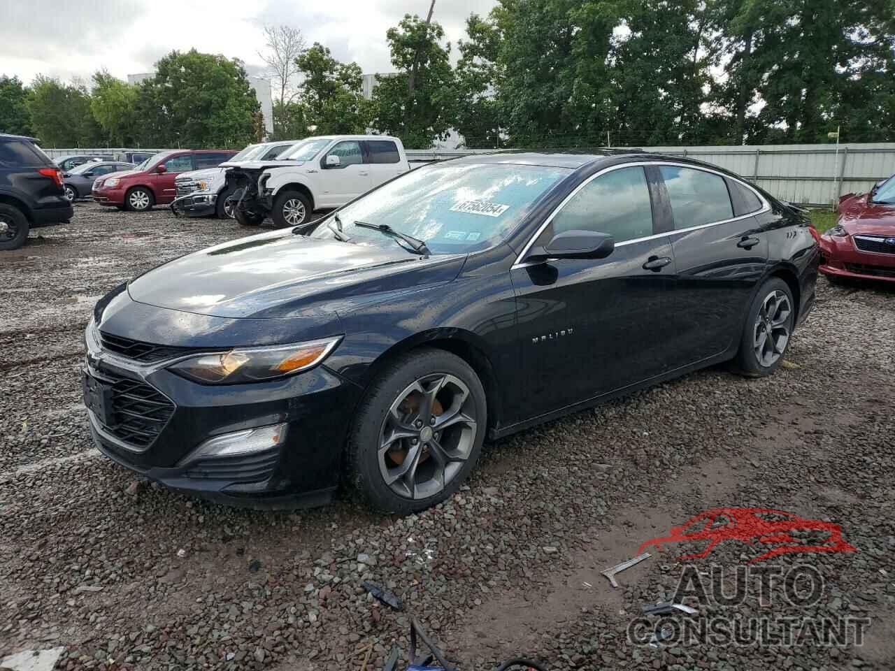 CHEVROLET MALIBU 2019 - 1G1ZG5ST4KF183399