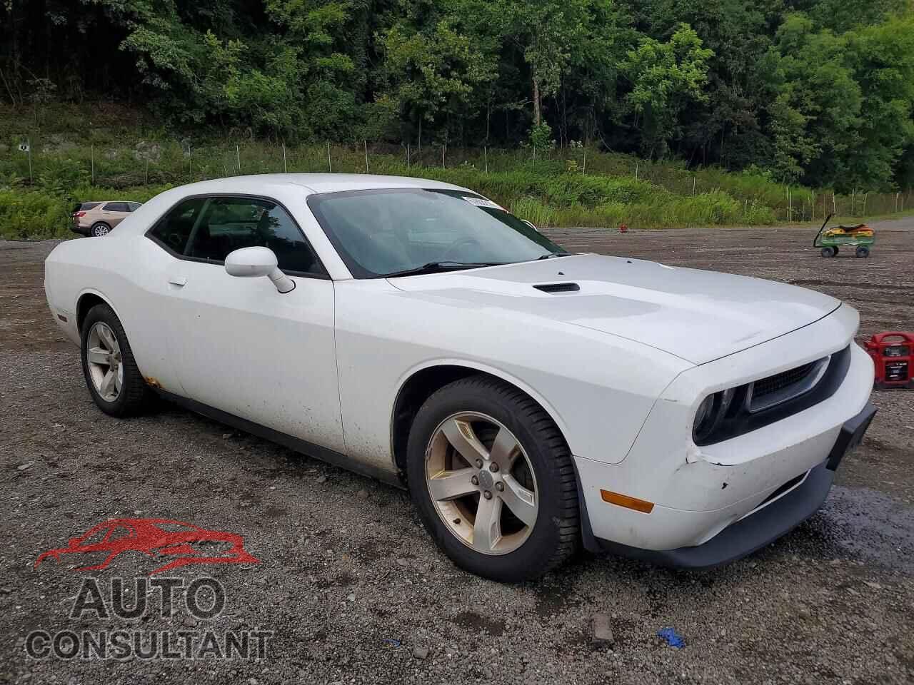 DODGE CHALLENGER 2013 - 2C3CDYAG8DH741661