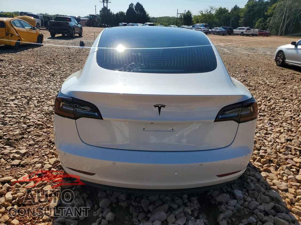 TESLA MODEL 3 2020 - 5YJ3E1EA8LF659911