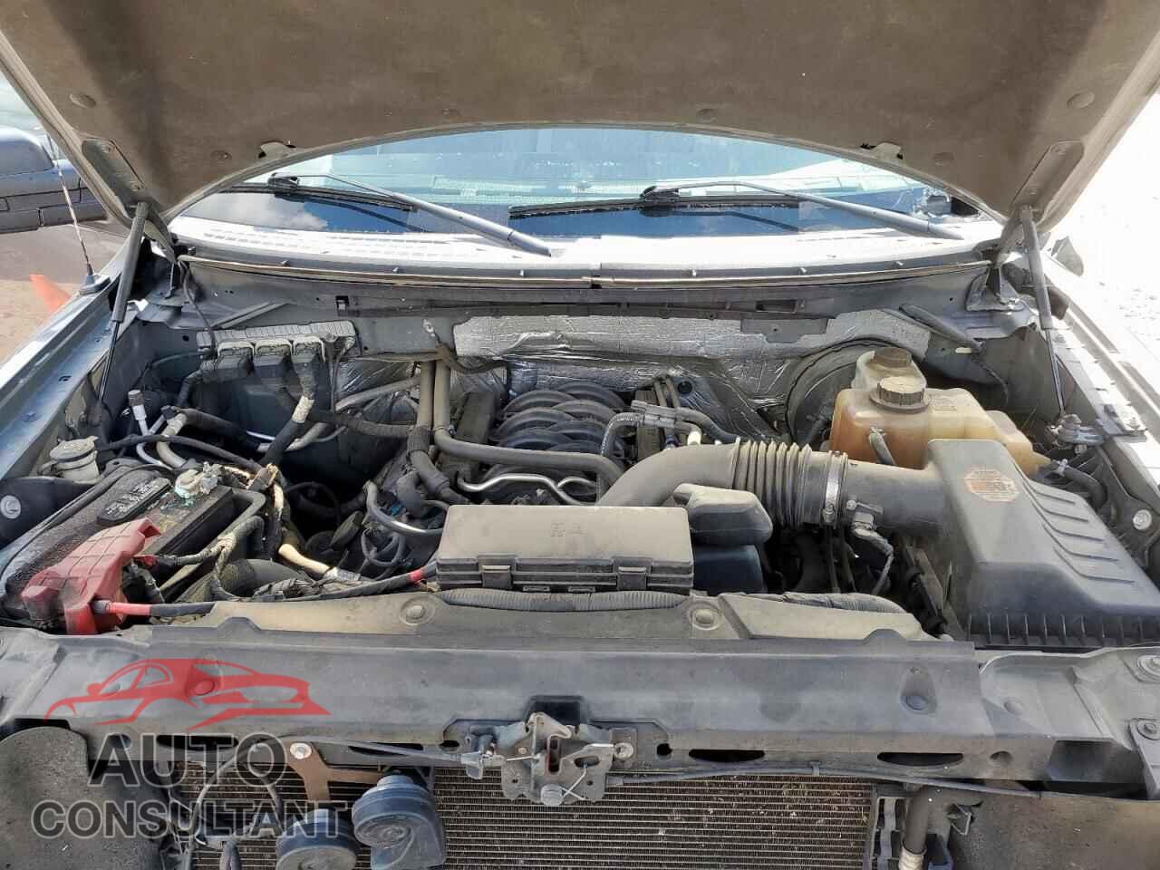 FORD F-150 2013 - 1FTFW1CF9DFB53882