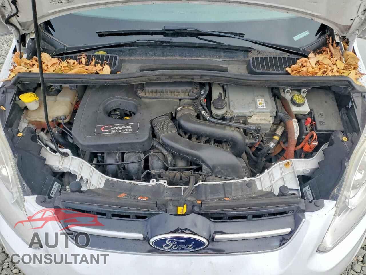 FORD CMAX 2016 - 1FADP5CU6GL106394