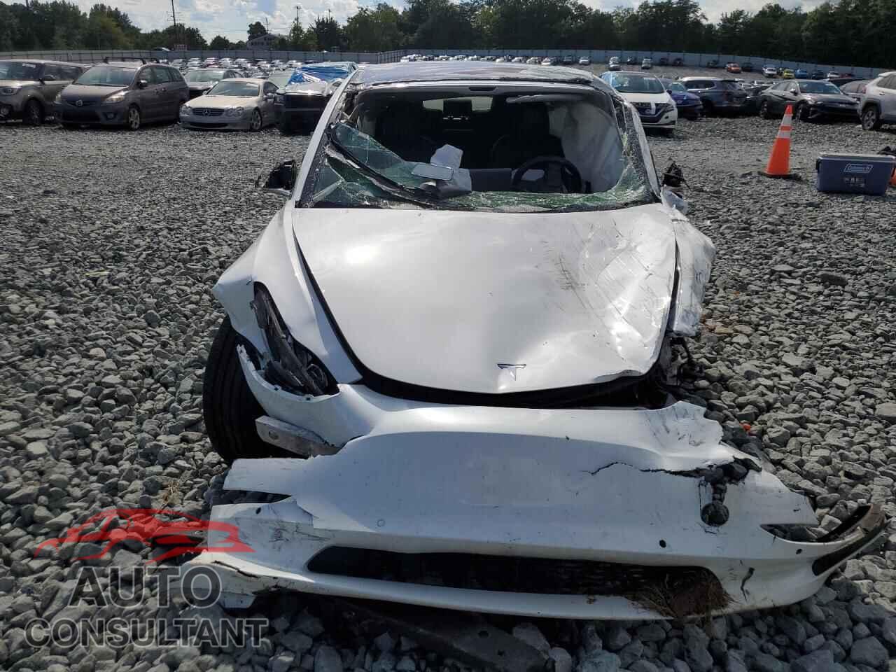 TESLA MODEL 3 2019 - 5YJ3E1EA7KF299819