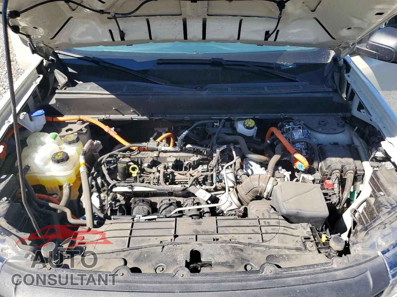 FORD MAVERICK 2025 - 3FTTW8B34SRA10583