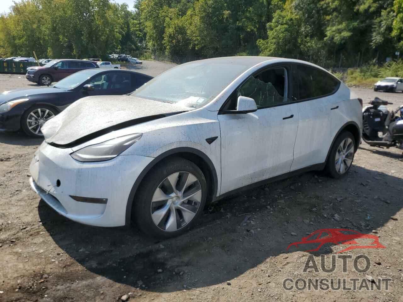 TESLA MODEL Y 2024 - 7SAYGDEE7PF785495