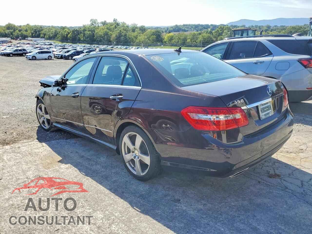 MERCEDES-BENZ E-CLASS 2010 - WDDHF8HBXAA124817