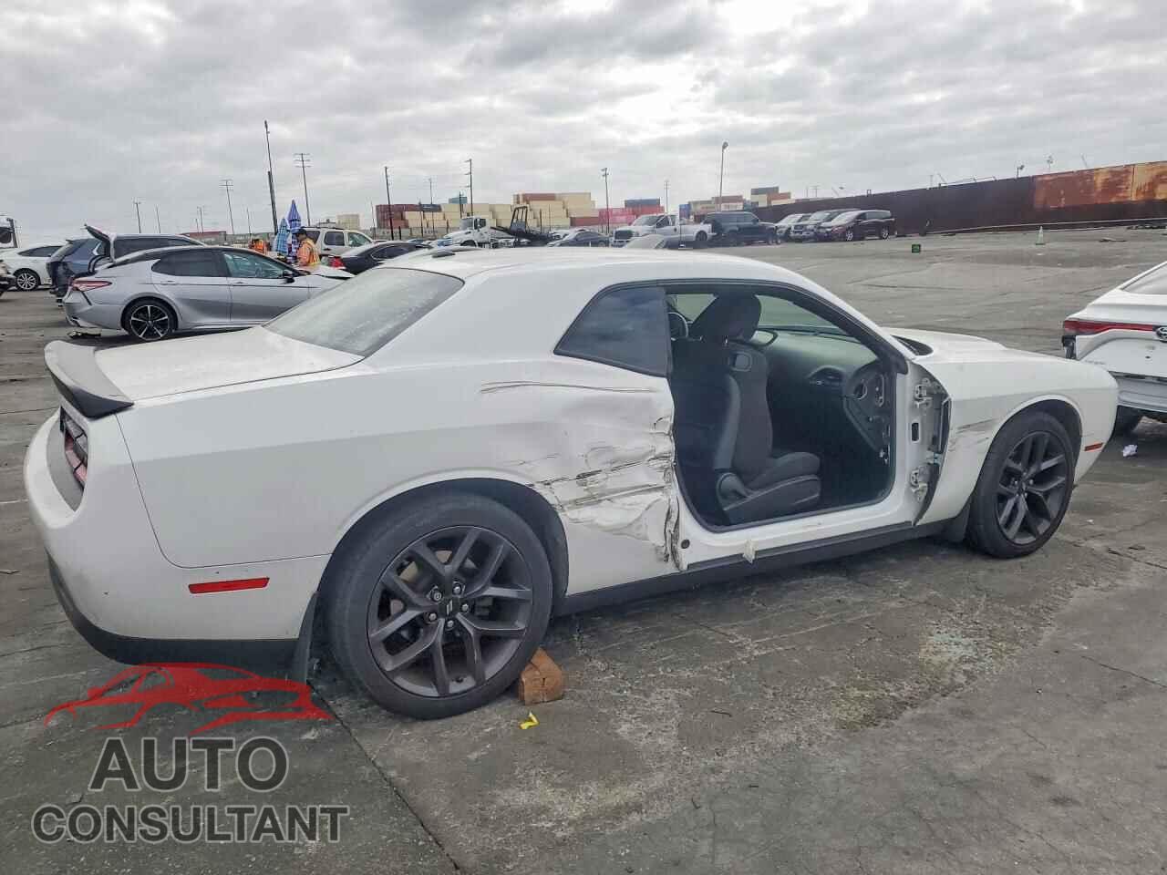 DODGE CHALLENGER 2019 - 2C3CDZAG3KH501307