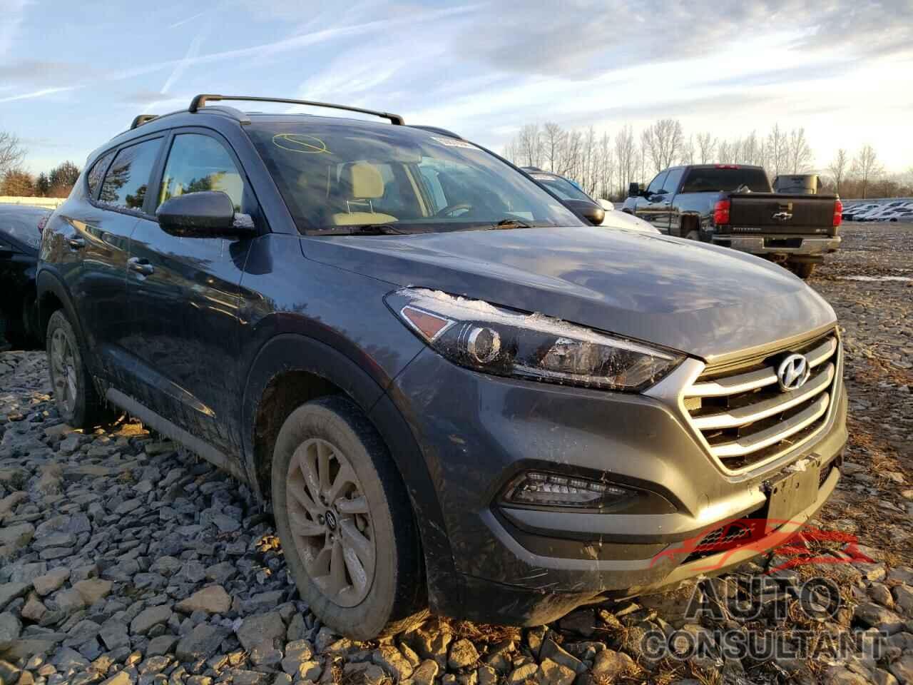 HYUNDAI TUCSON 2017 - KM8J3CA47HU410552