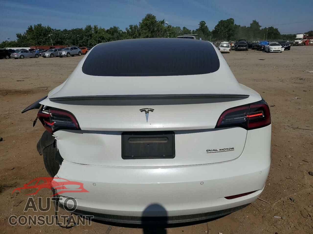 TESLA MODEL 3 2019 - 5YJ3E1EB8KF413822