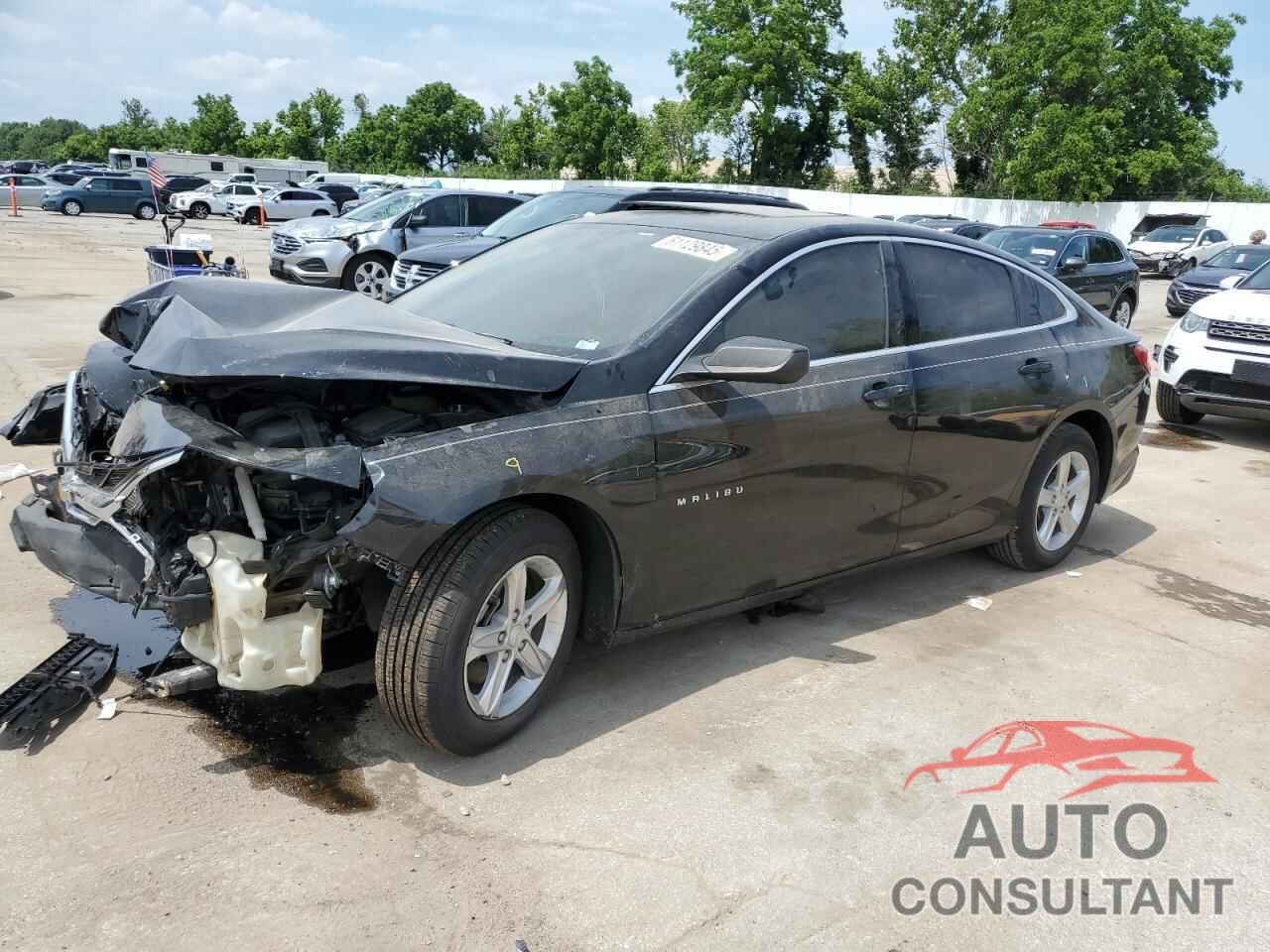 CHEVROLET MALIBU 2019 - 1G1ZB5ST7KF120361