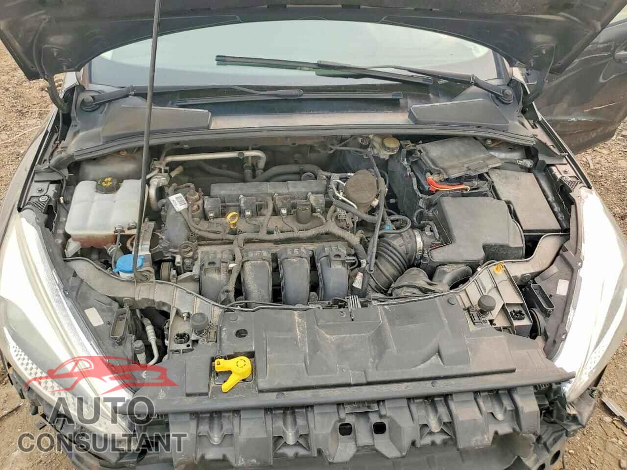 FORD FOCUS 2015 - 1FADP3F20FL268647