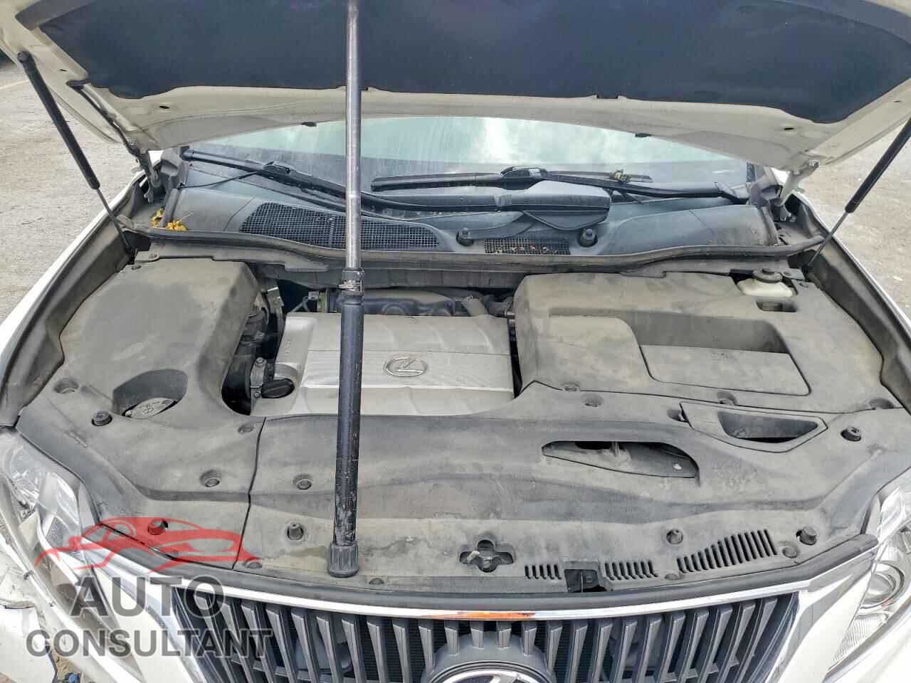 LEXUS RX350 2010 - 2T2BK1BA1AC042663