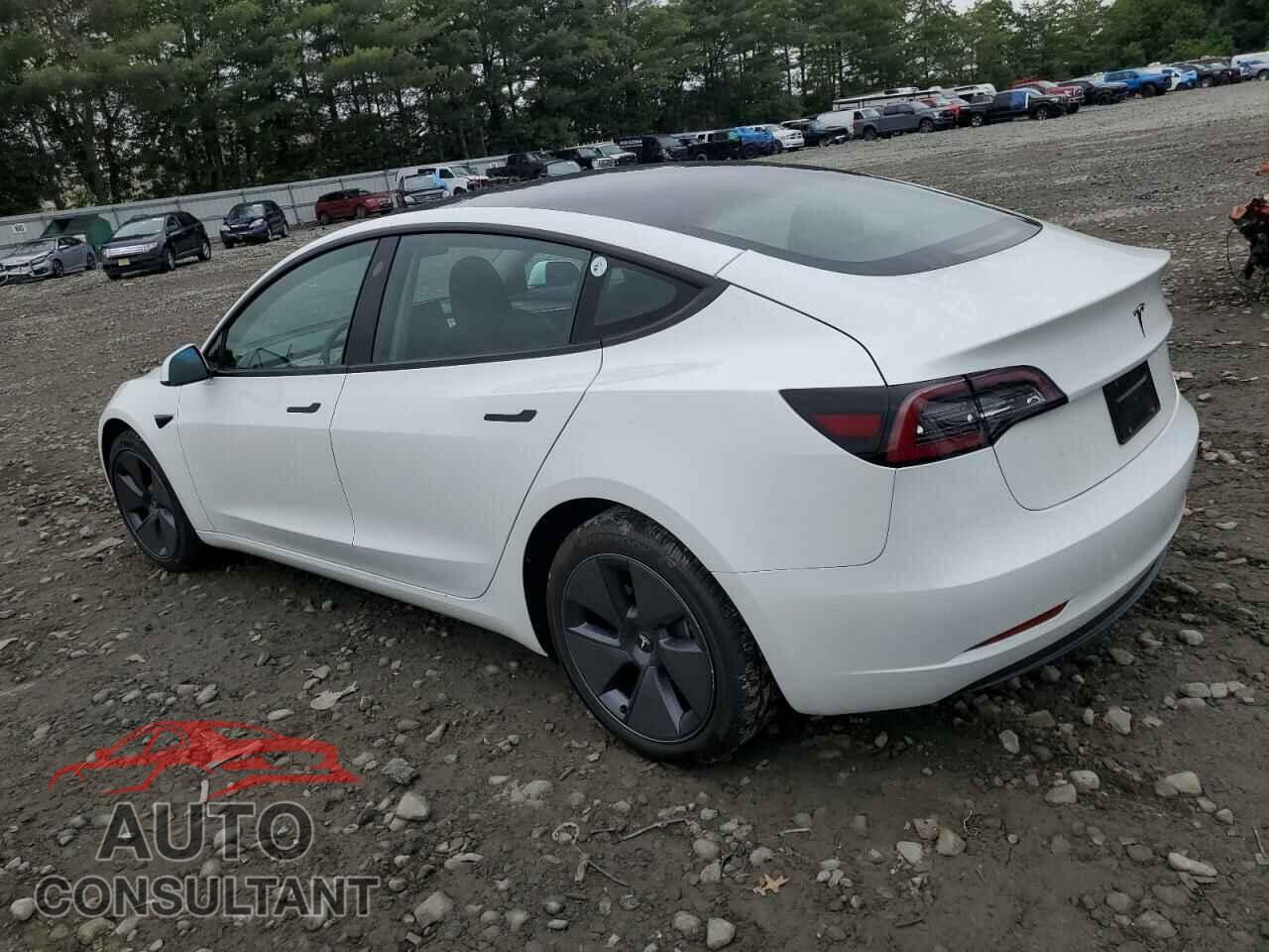 TESLA MODEL 3 2023 - 5YJ3E1EA3PF574626