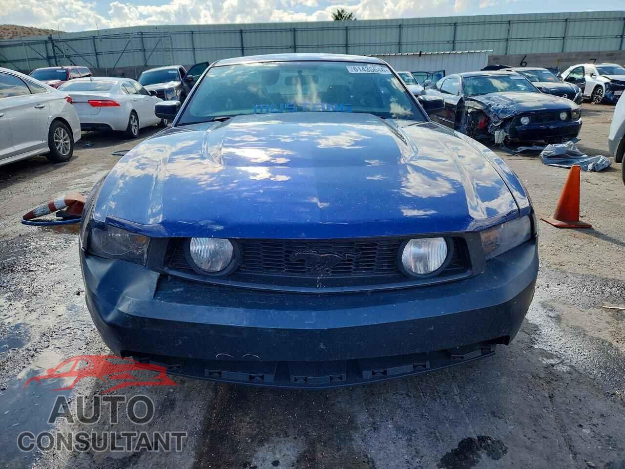 FORD MUSTANG 2010 - 1ZVBP8CH7A5117516