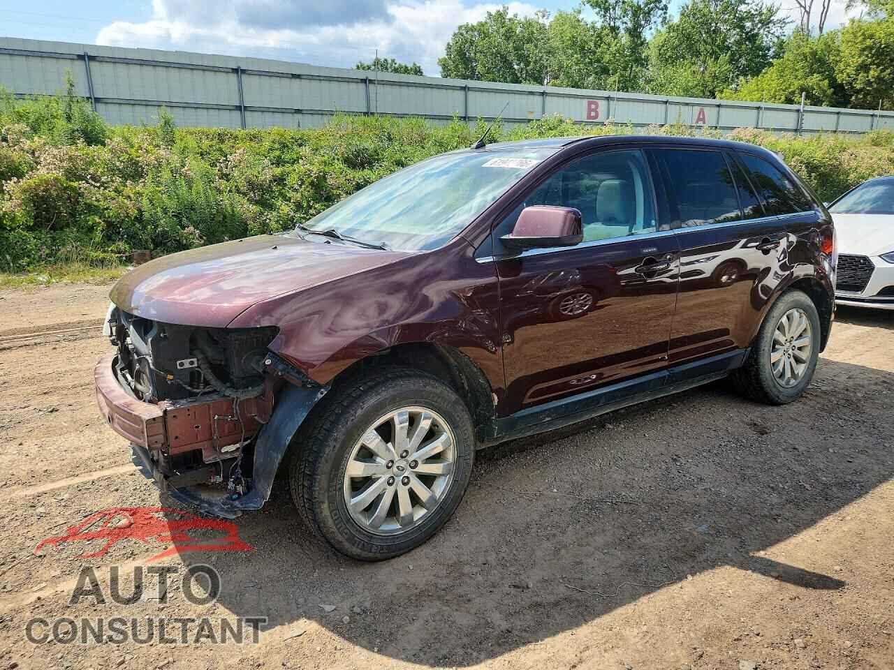FORD EDGE 2009 - 2FMDK49C99BB03702