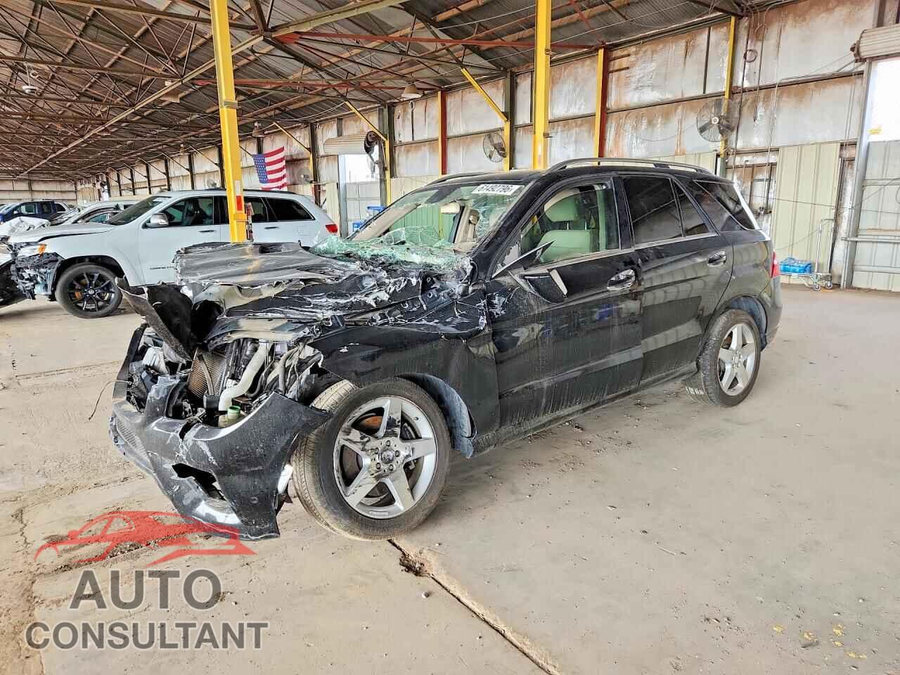 MERCEDES-BENZ M-CLASS 2014 - 4JGDA5JB5EA308130