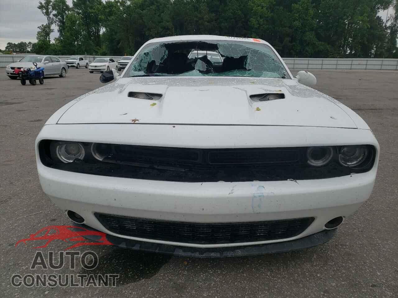 DODGE CHALLENGER 2019 - 2C3CDZAG8KH513551