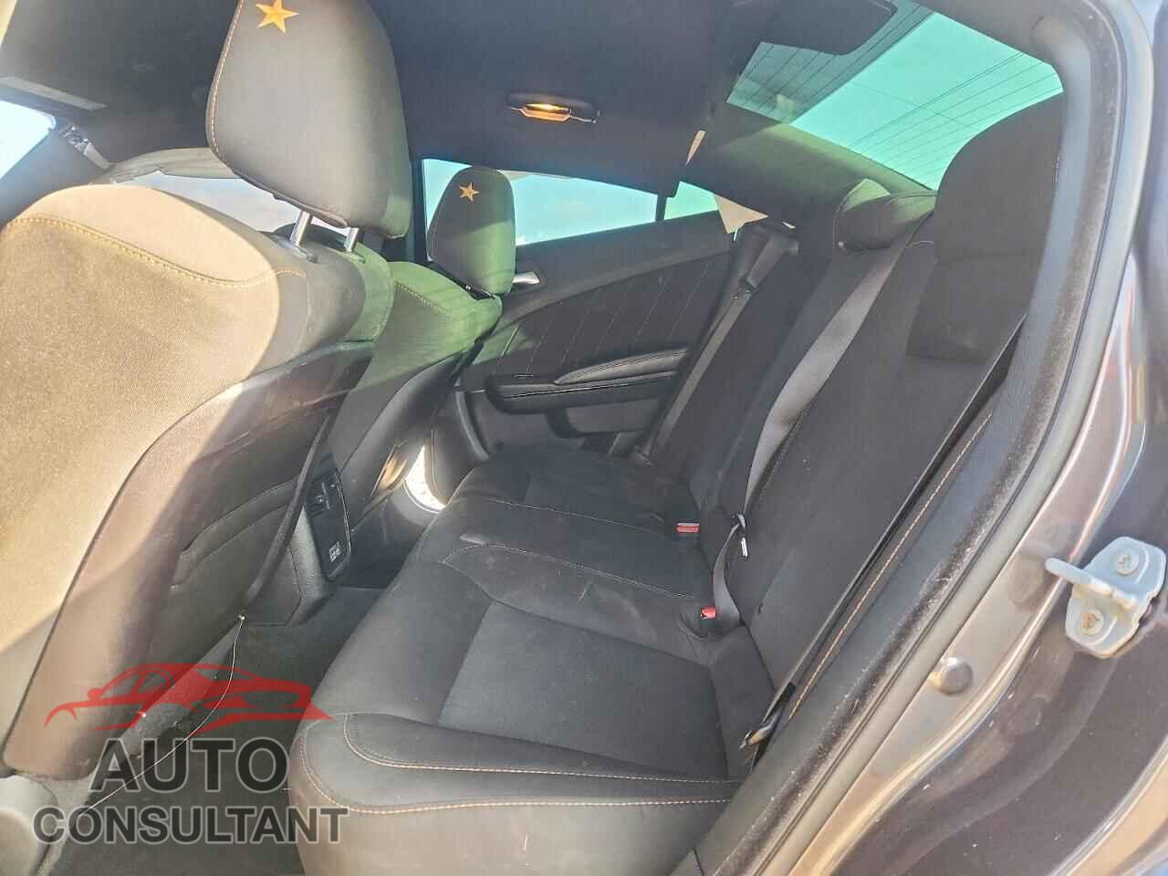 DODGE CHARGER 2019 - 2C3CDXCTXKH682131
