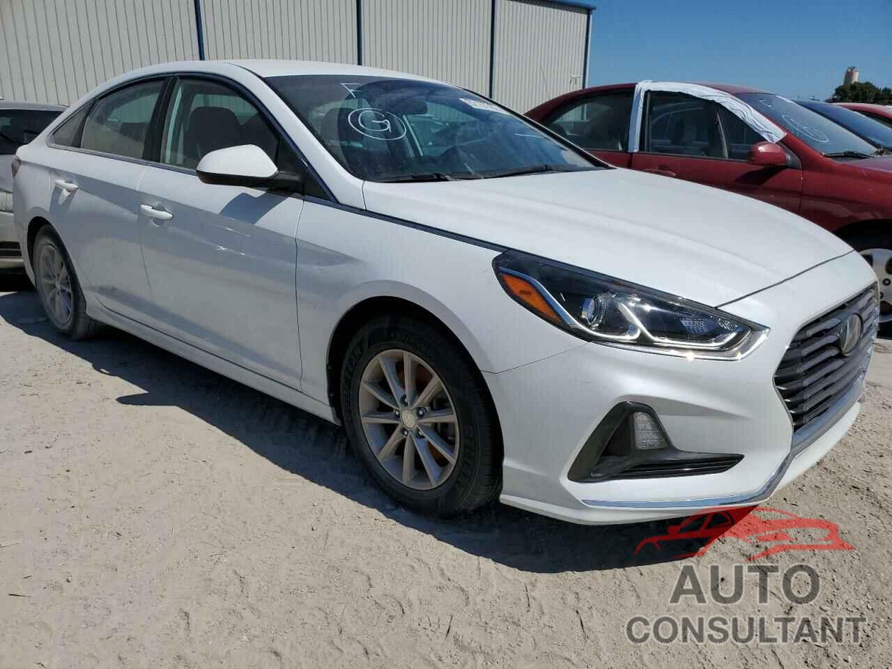 HYUNDAI SONATA 2019 - 5NPE24AF1KH747333
