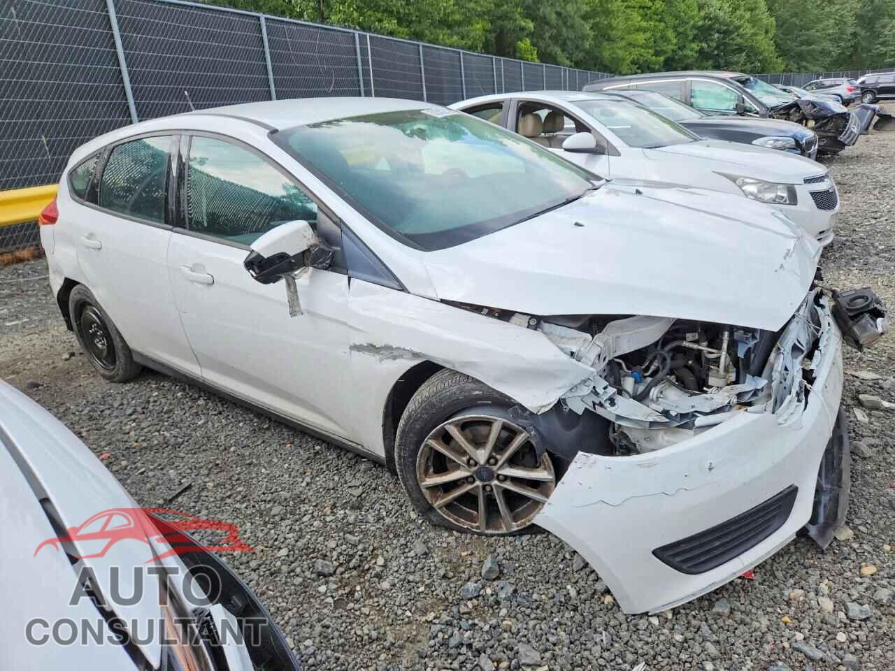 FORD FOCUS 2017 - 1FADP3K20HL249394