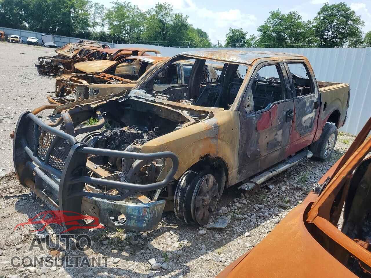 FORD F150 2010 - 1FTEW1E83AFC31272