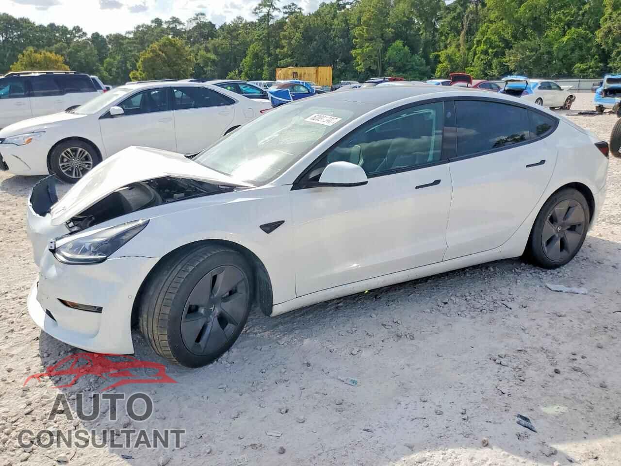 TESLA MODEL 3 2021 - 5YJ3E1EA2MF986404