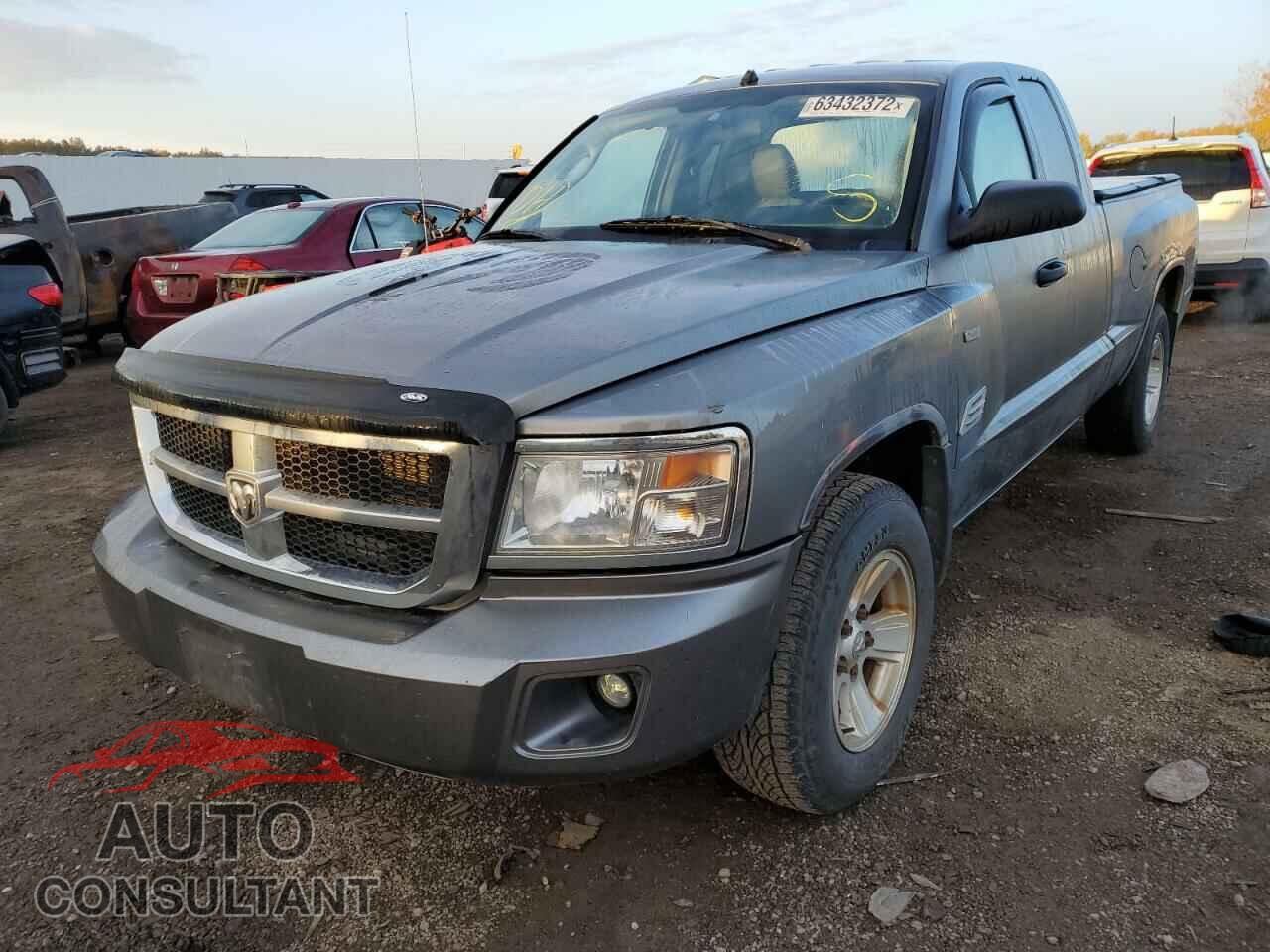 DODGE DAKOTA 2011 - 1D7RE2BK2BS537808