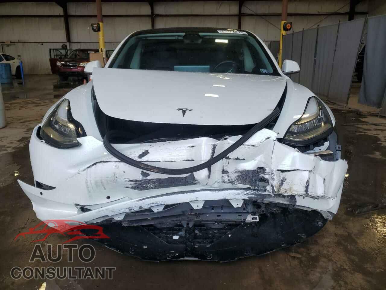 TESLA MODEL 3 2019 - 5YJ3E1EB4KF487299