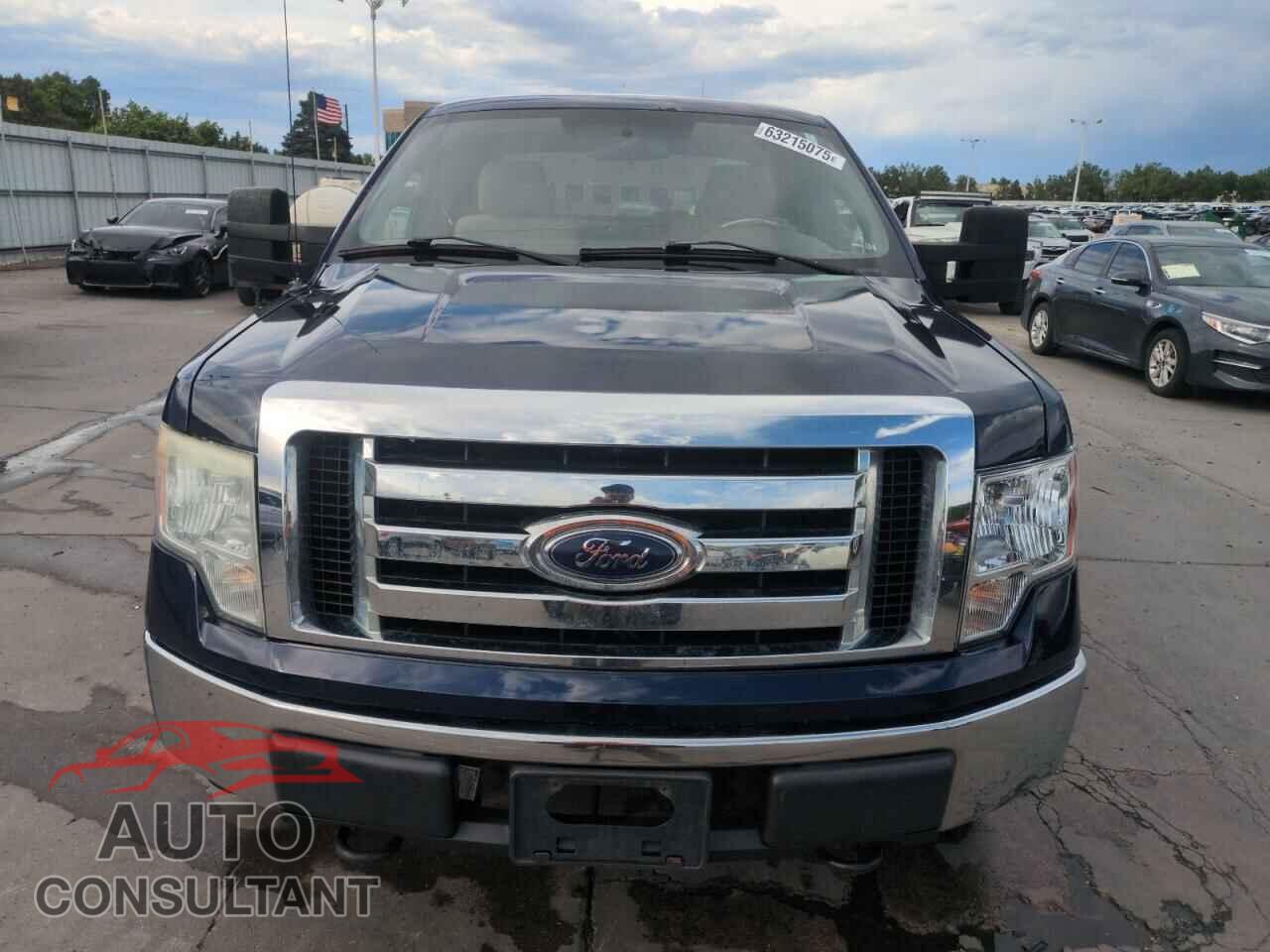 FORD F-150 2009 - 1FTRX14839FA51110