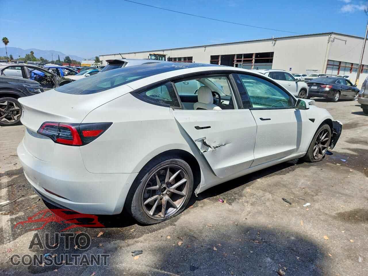 TESLA MODEL 3 2021 - 5YJ3E1EAXMF928928
