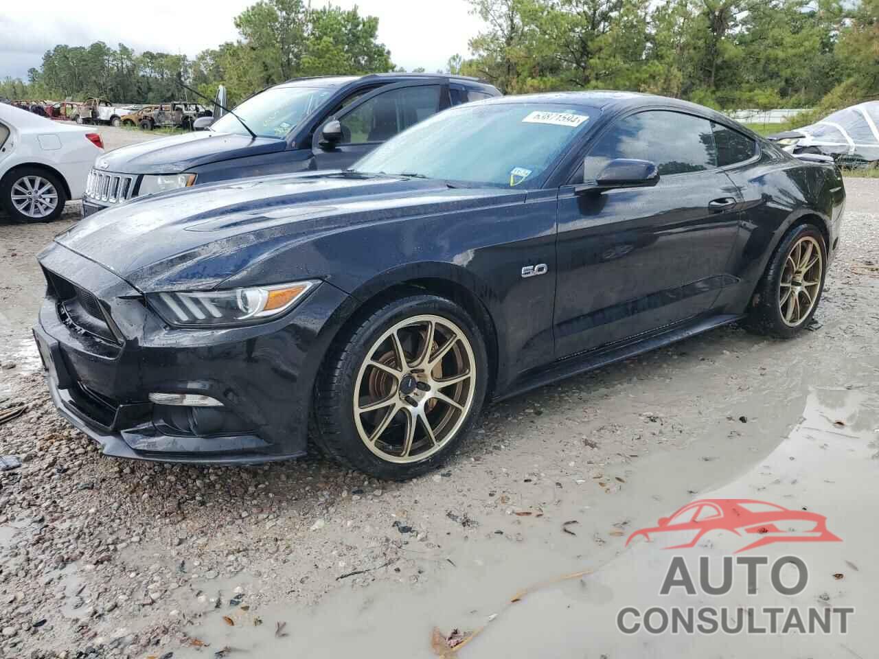 FORD MUSTANG 2017 - 1FA6P8CF6H5259634