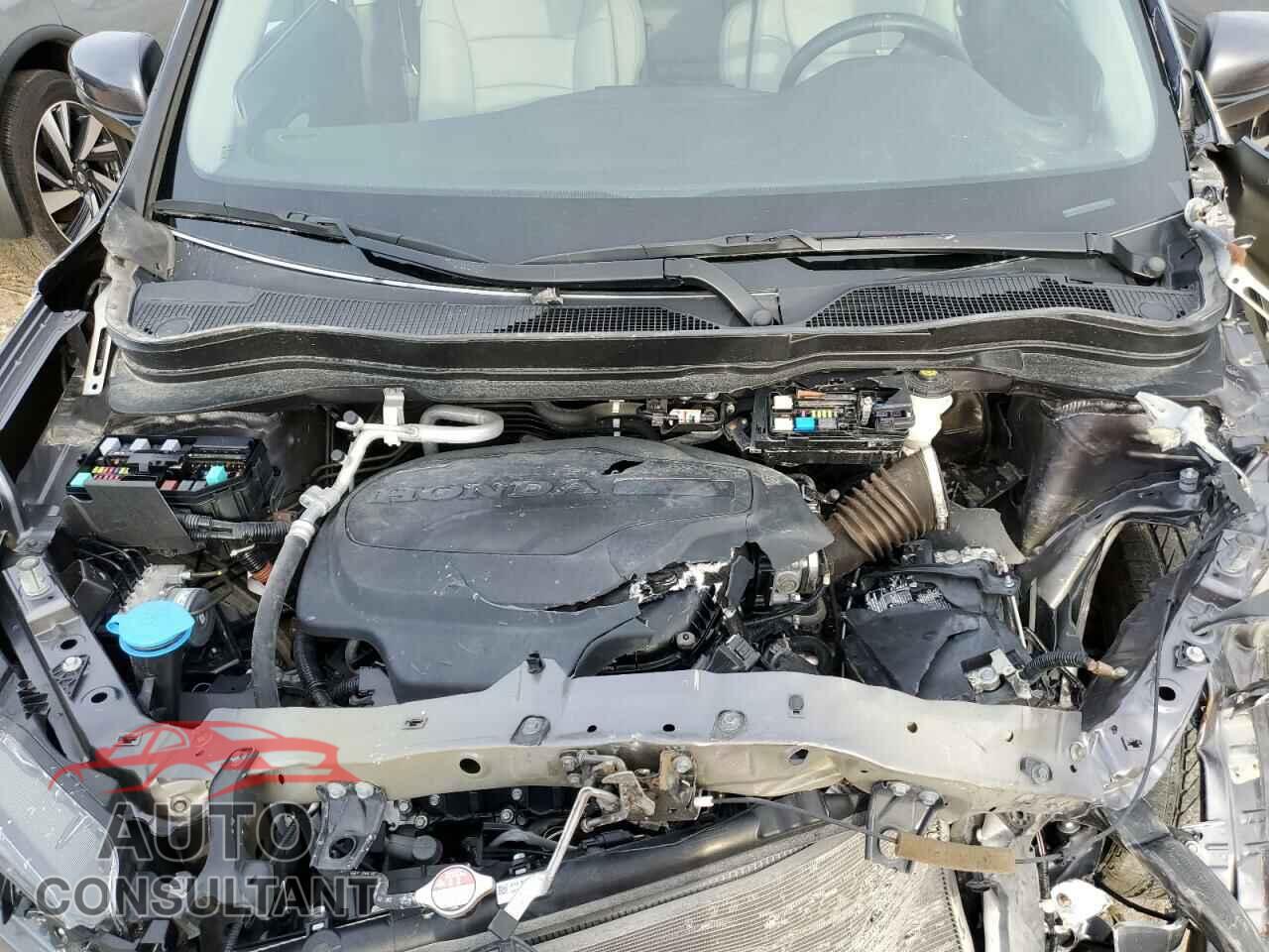 HONDA PILOT 2021 - 5FNYF5H55MB016541