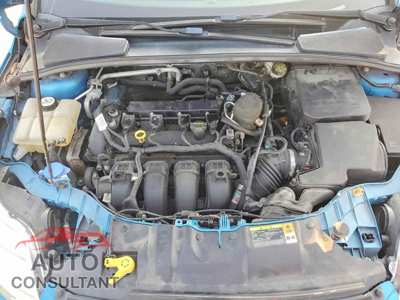 FORD FOCUS 2012 - 1FAHP3F21CL454503