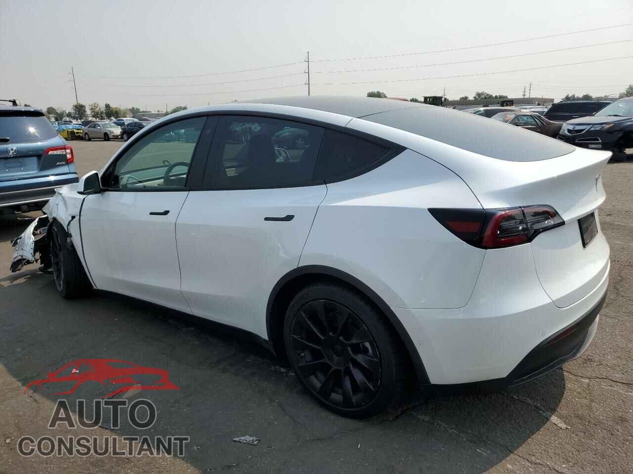 TESLA MODEL Y 2022 - 7SAYGDEE6NF321174